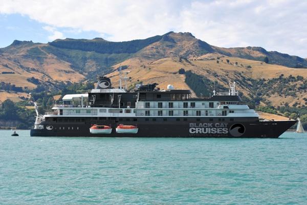 Design for Black Cat Cruises cruise ship 